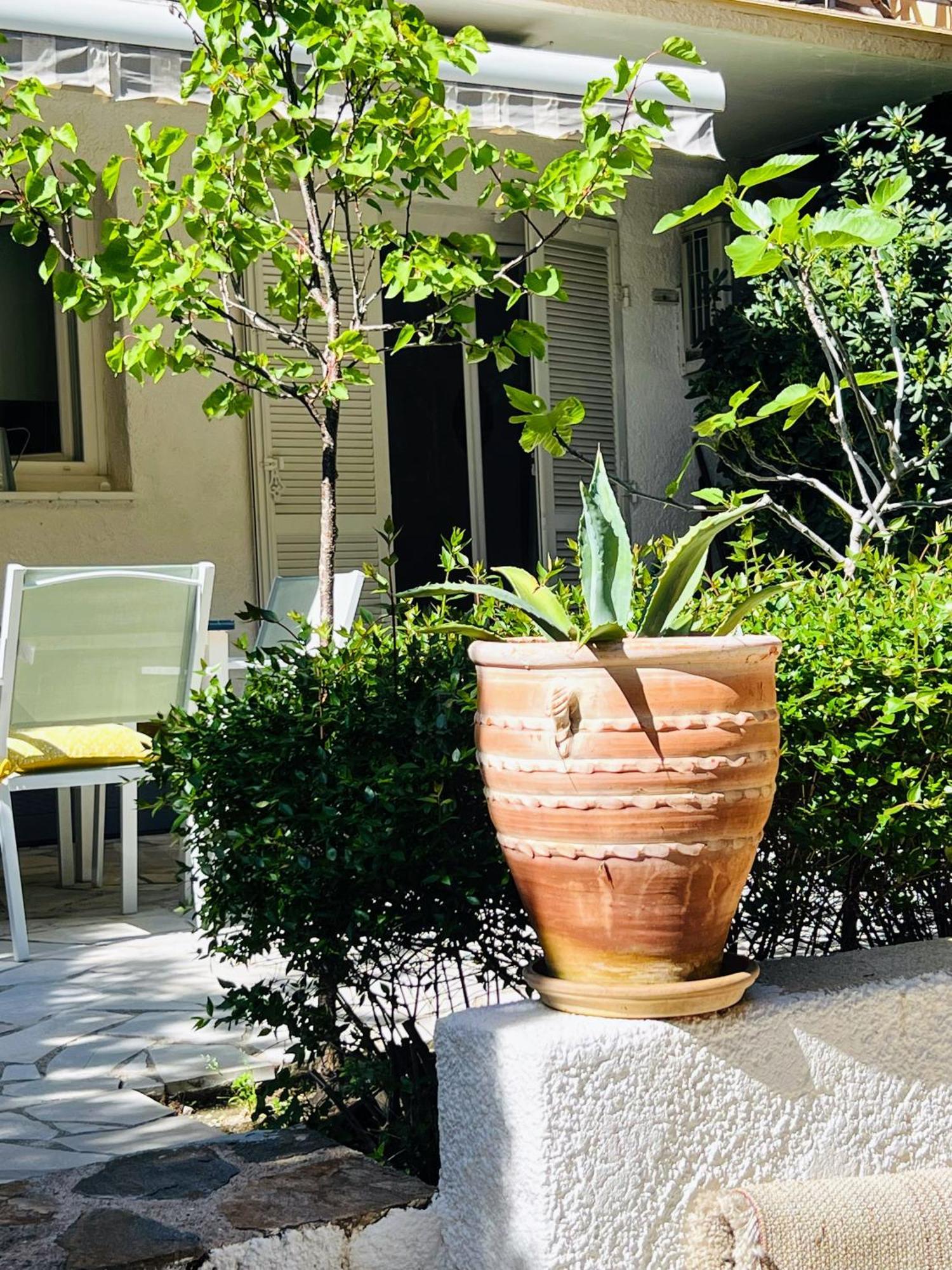 Superbe Appartement Avec Terrasse Jardin Et Parking Prive Saint-Tropez Eksteriør billede
